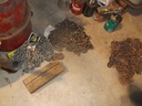 DSCF0235.JPG