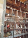 DSCF0341.JPG