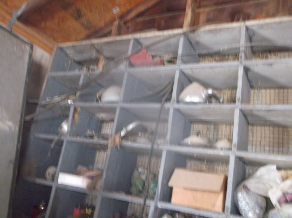 DSCF0369.JPG