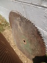 DSCF0384.JPG