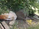 DSCF0452.JPG
