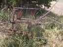 DSCF0518.JPG