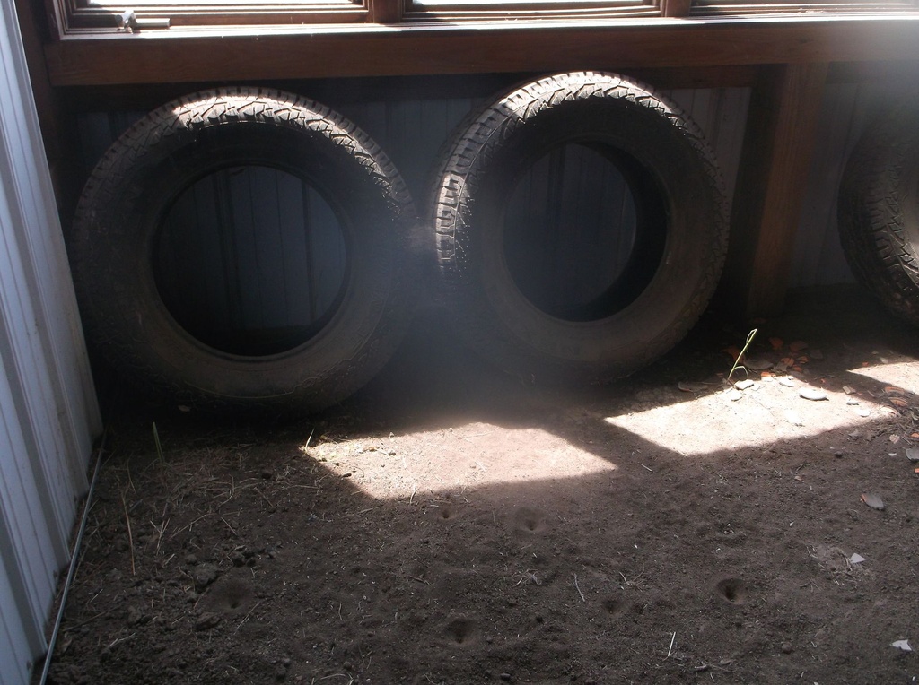 DSCF0526.JPG