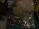 DSCF1102.JPG