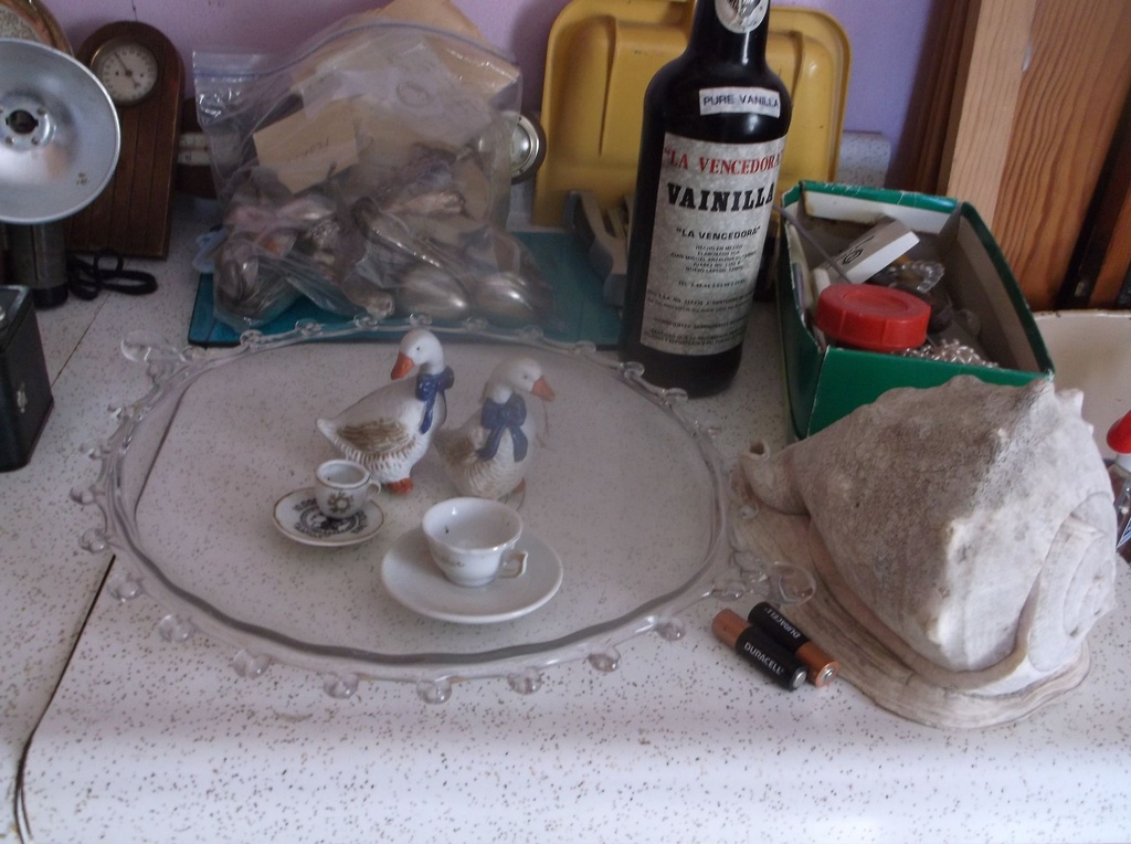 DSCF1101.JPG