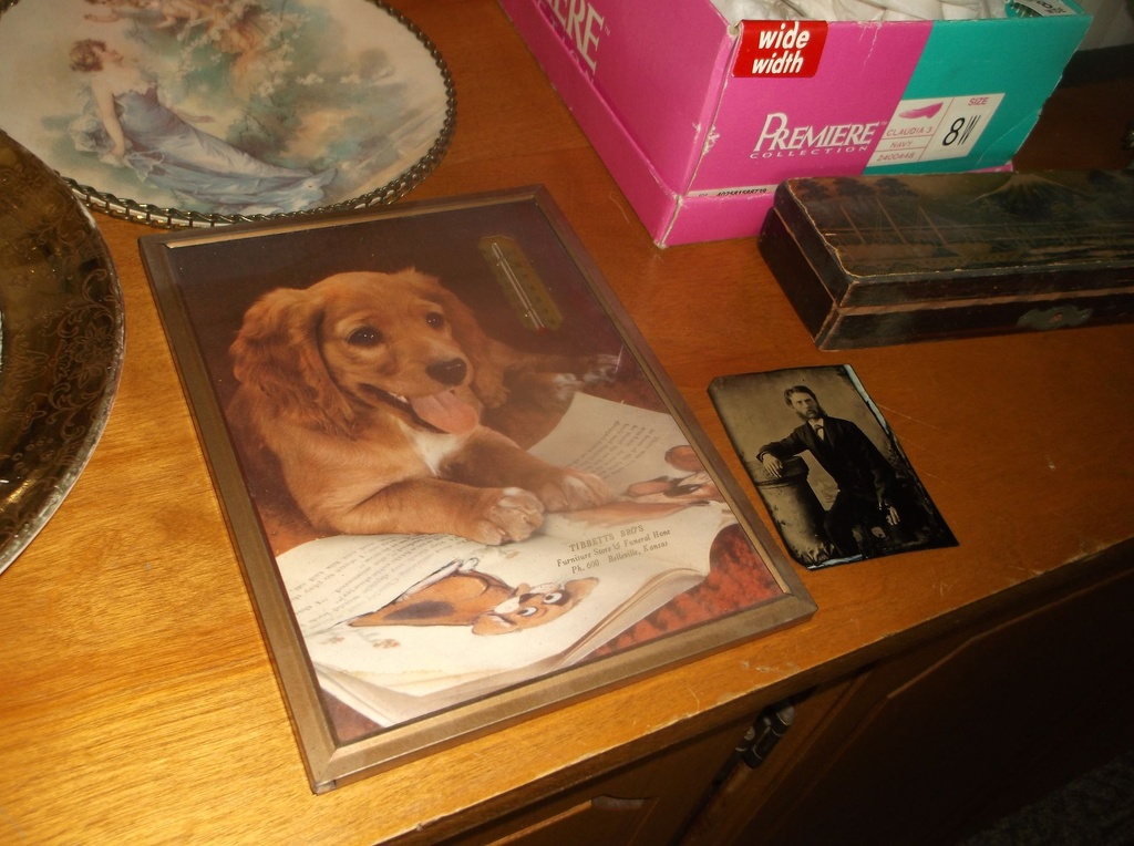 DSCF1137.JPG