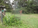 DSCF1780.JPG
