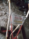 DSCF1777.JPG