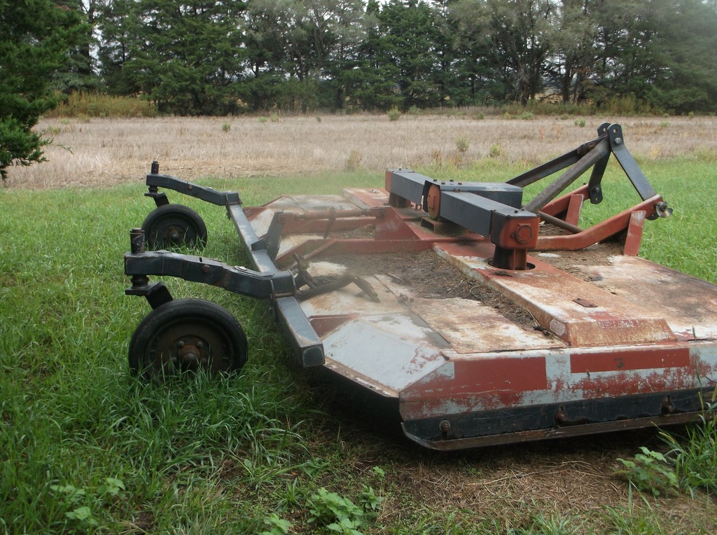 DSCF1811.JPG