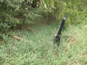 DSCF1831.JPG