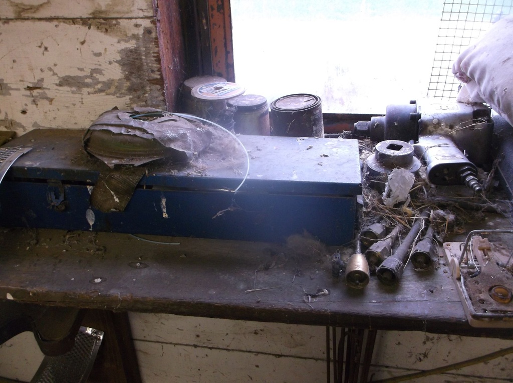 DSCF1673.JPG