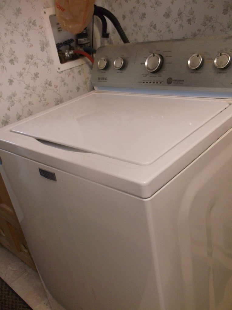 DSCF1847.JPG