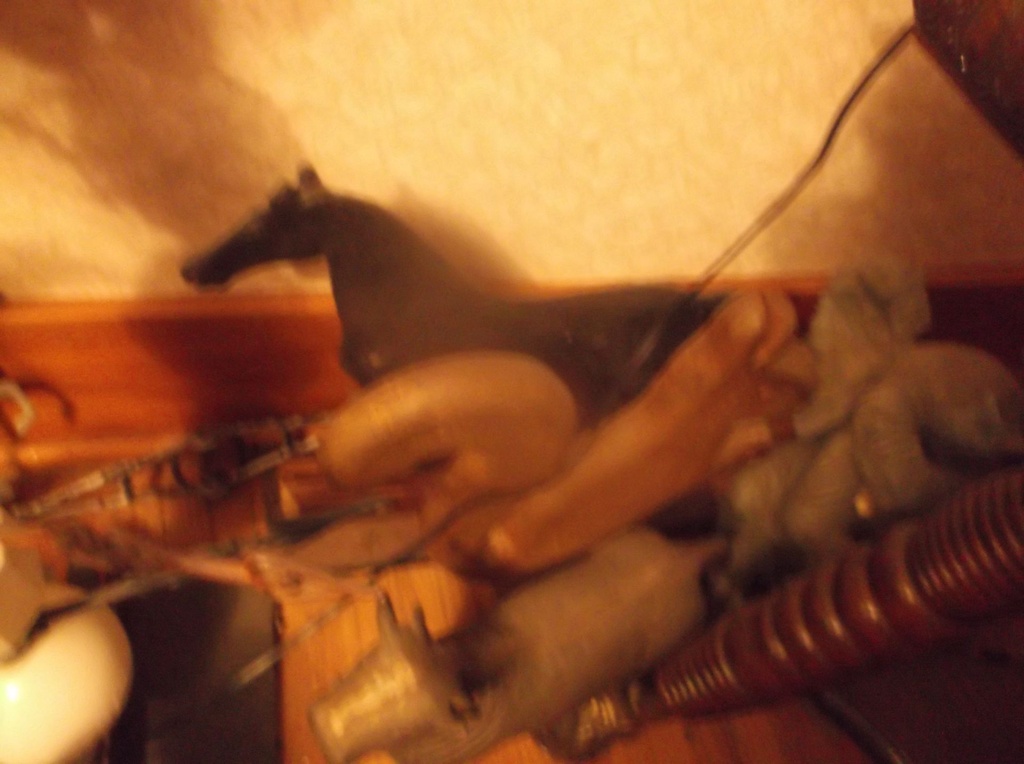 DSCF1539.JPG
