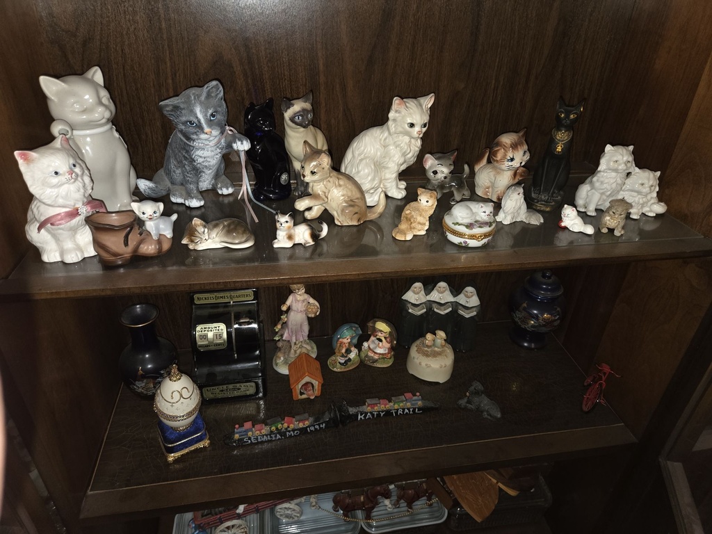 20260818_173041.jpg