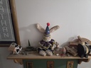 20260818_181341.jpg