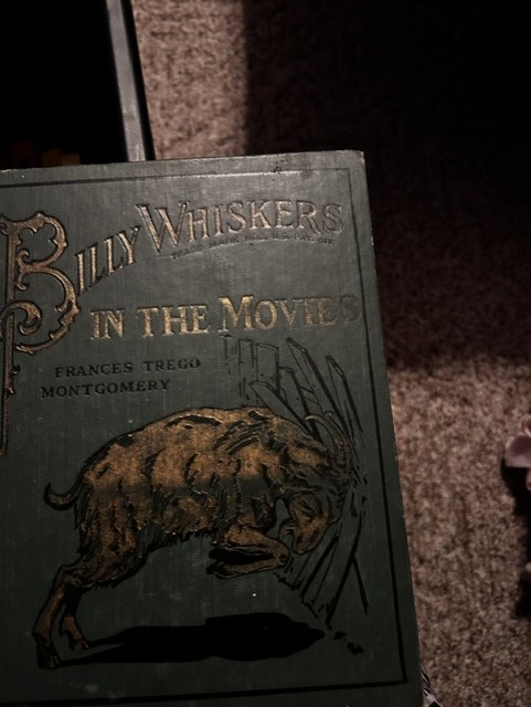 billy whiskers2.jpeg