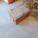 IMG_20261012_131002889_AE.jpg