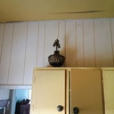 IMG_20261012_135417837_AE.jpg