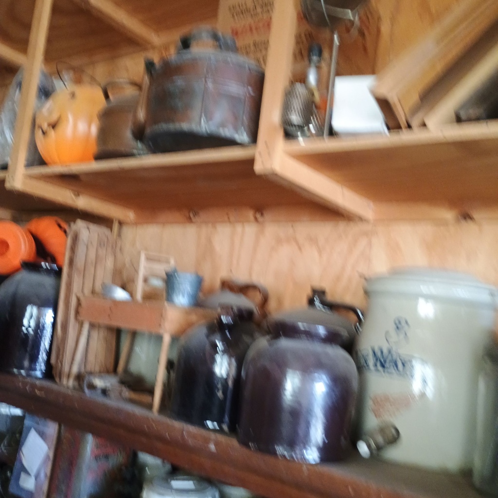 IMG_20261012_154620825.jpg