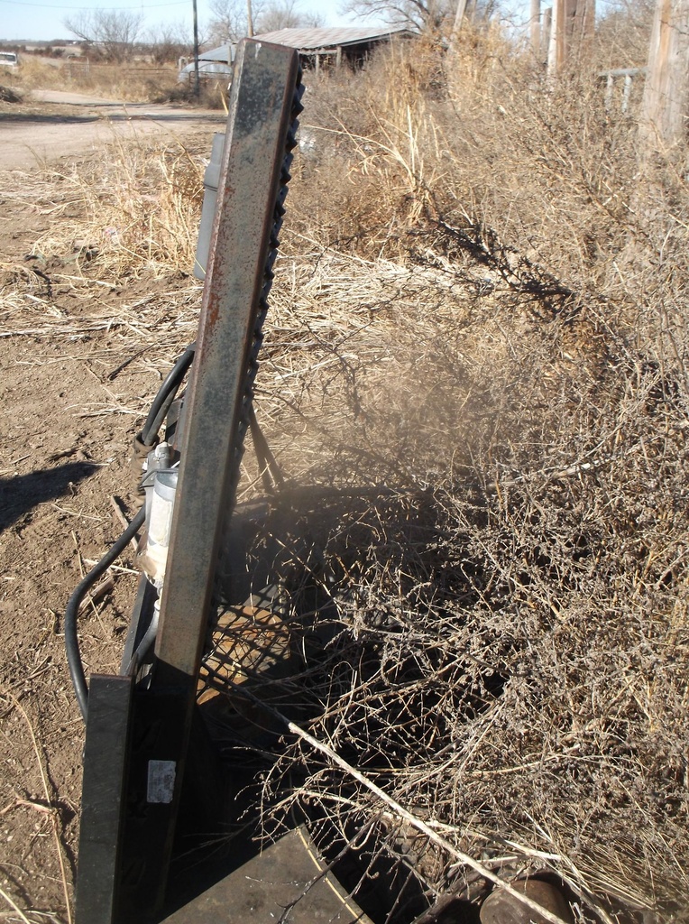 DSCF4861.JPG